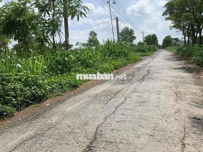 ĐẤT NỀN XÃ TÂN HOÀ , GÒ CÔNG ĐÔNG