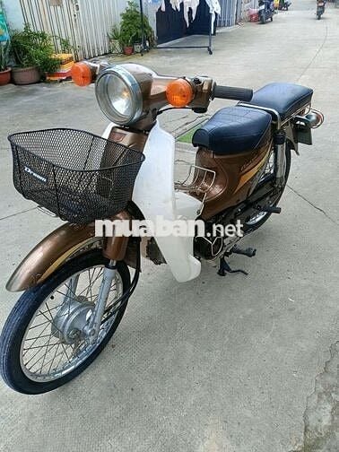 Cub 50cc