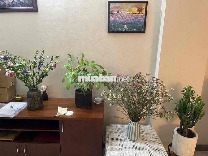 ✨ Thuê ngay căn hộ Ngô Tất Tố – Full NT – 2PN chỉ 12.5tr