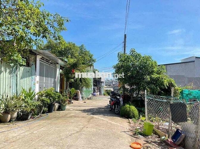 Đất 82m2 gần khu du lịch Hố Lang, p Tân Bình, tp Dĩ An