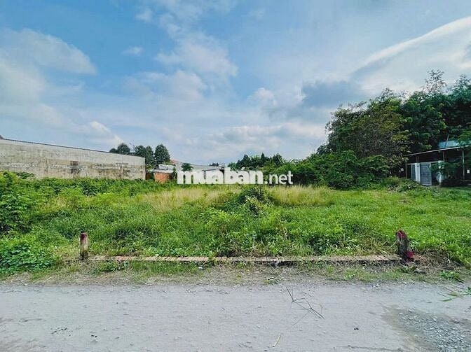 Bán đất 156m2 - Nguyễn Văn Khạ - Tân An Hội - Củ Chi . Giá 1tỷ100