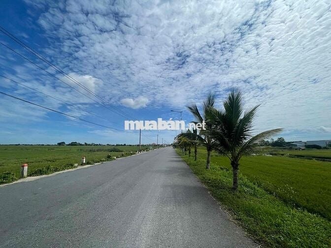 ĐẤT KQH THUỶ THANH - cạnh cầu ngói thanh toàn