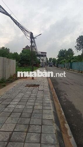 Đất 50 năm sẵn sổ đỏ 257m mặt đường nhựa container