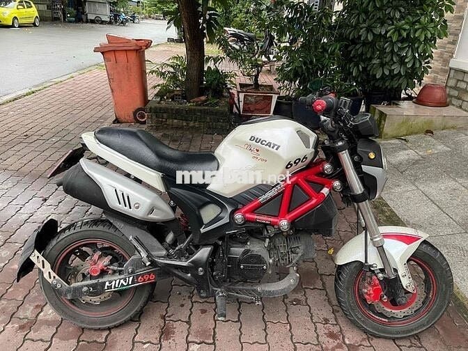 Xe ducati mini