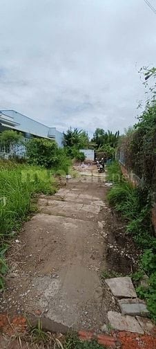 Bán Đất Cần Đước chính chủ Cô Linh