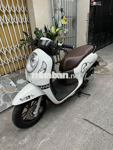scoopy 2024 bstp 9 chủ