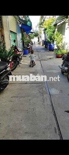Cho thuê nhà nguyên căn hẻm Mã Lò - Tân kì tân quý - 45m - giá 7.5tr