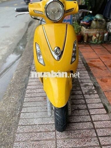 Elizabeth biển TP