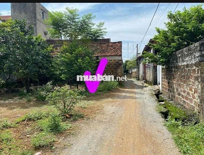 🛎🛎🛎 Chỉ với 1.x tỷ có ngay 175m tại Trần Phú, Chương Mỹ   👉 mặt tiền 9