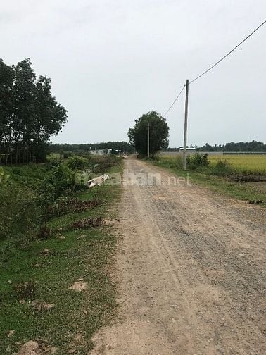 Bán đất vườn 500m² Nhuận Đức Củ Chi – sổ đỏ sang tên ngay- đường oto
