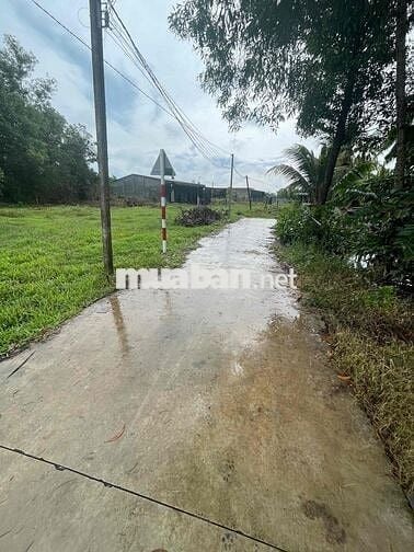 Bán đất Thanh Phước Gò Dầu 5x25m, có thổ cư, giá rẻ 390 triệu