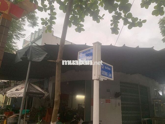 Bán đất đường Lê Cảnh Tuân, Sơn Trà, Đà Nẵng – 85,5m², hướng Đông Nam
