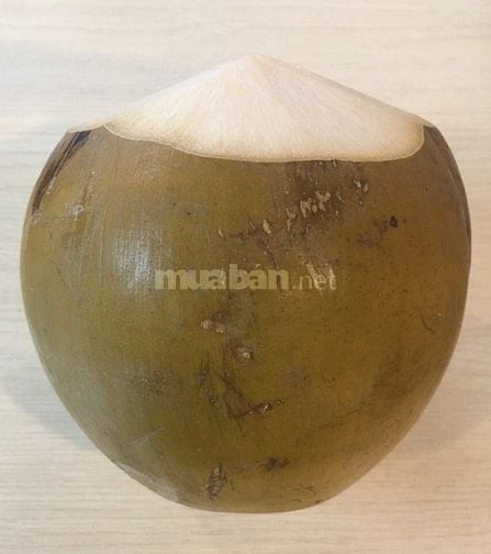  📢 DỪA KIẾN AN TUYỂN NGƯỜI LAO ĐỘNG PHỤ VIỆC