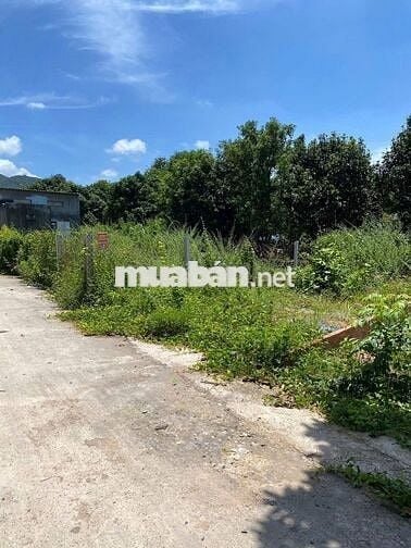 Bán đất du lịch biển Long Hải, cách biển Dinh Cô 1.9km, khu dân cư