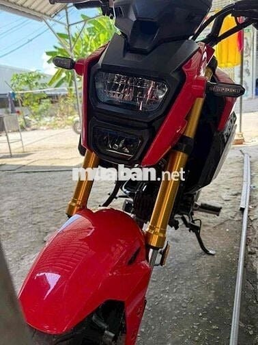 mxs 125 xe zin