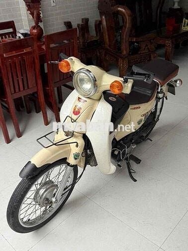 xe cub 50