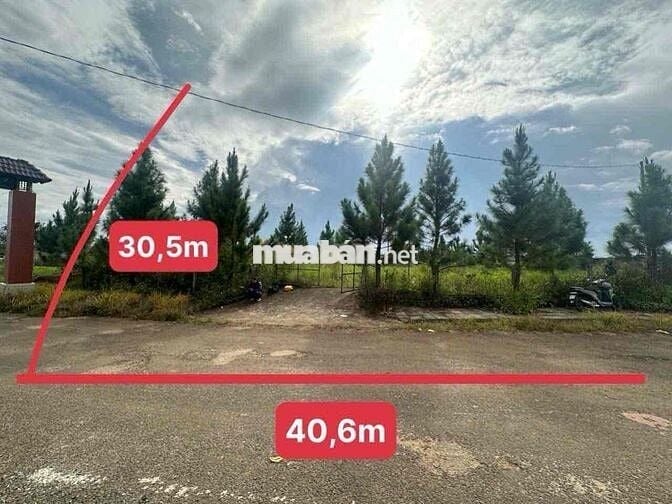 Ngân hàng phát mãi 2 lô đất đẹp 1061m2 có 450m2 thổ cư