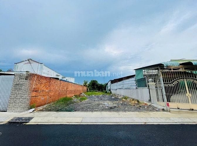 Mặt Tiền Kinh Doanh đường nhựa 10m Thị Trấn Củ Chi 480m2 Sổ Hồng Riêng