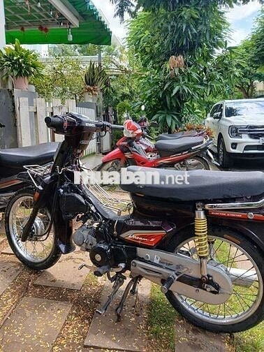 Ae hợp giá ib