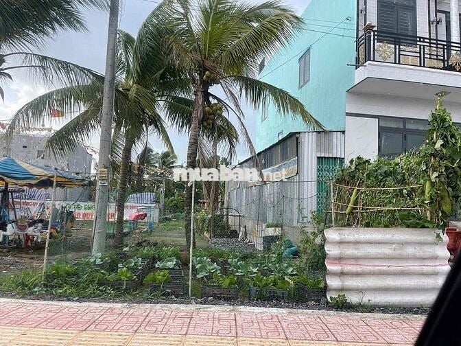 BÁN ĐẤT MẶT TIỀN KHU CÔNG NGHIỆP BÌNH MINH LỘ 40M