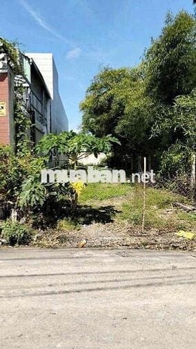 Đất Tân An ngay trường Trần Bình Trọng cách vài chục mét nhựa 6m. 5x35