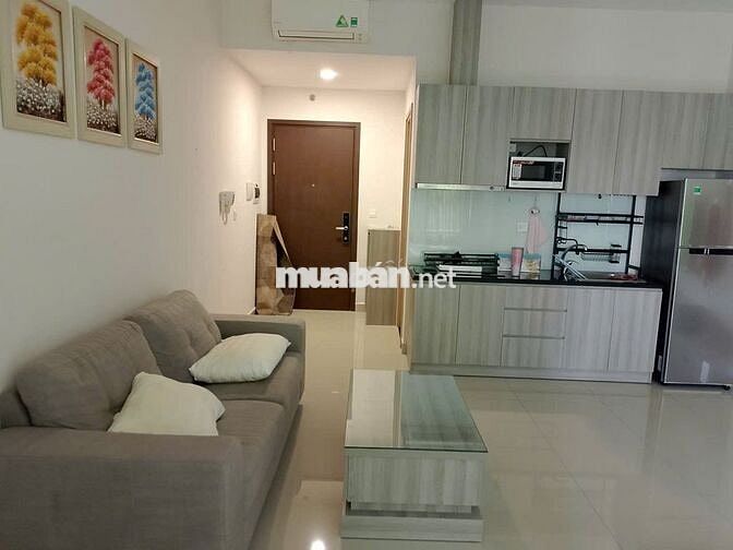 Cho thuê căn ở Sunrise City View 40m full nội thất