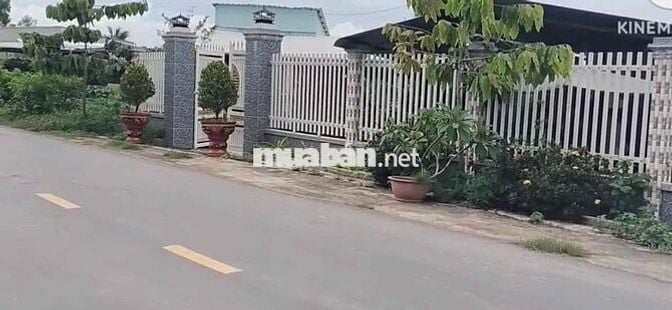 Bán nhà mặt tiền DT.877 ngay cụm công nghiệp Bình Ninh