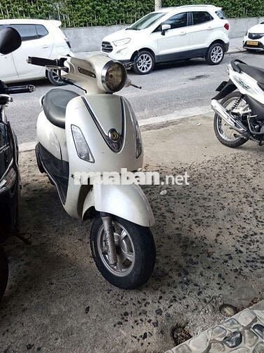 Xe ga cần bán