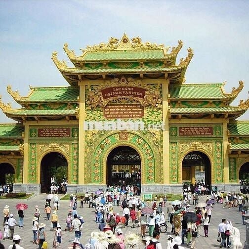Chính chủ cần bán Tân Định, Bến Cát , BD. Nay P Hòa Lợi, HCM.