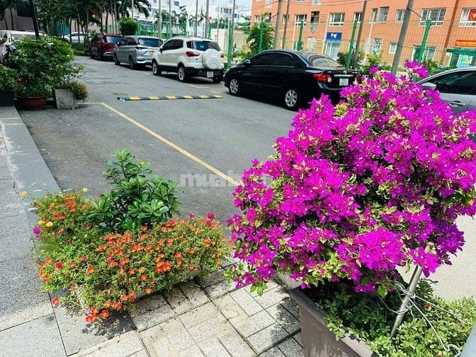 cần bán căn shophouse chung cư green town bình tân, DT 128m2 3PN 2WC.