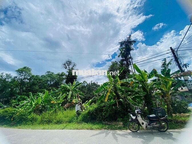 Bán nhanh miếng đất vườn 2 mặt tiền đường lớn