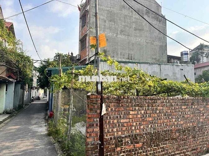 BÁN ĐẤT TẶNG NHÀ – CHỢ BÚN GIA LÂM – GIÁ CHỈ 6 TỶ XÍU