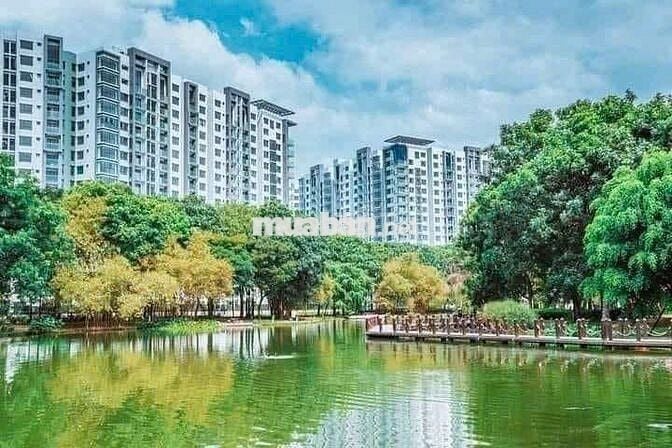 🏡 Sở hữu ngay căn hộ Ruby Celadon City 68m² –Full nội thất, giá 3.8 tỷ