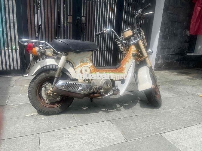 bán chaly cổ của bà dì