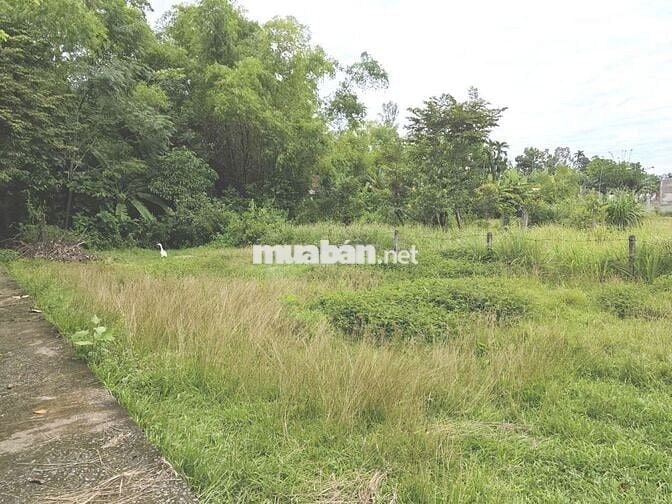 🔥 BÁN GẤP LÔ ĐẤT ĐẸP 210㎡ ĐÃ CÓ SỔ TẠI TRUNG TÂM HUYỆN PHÚ NINH 🔥