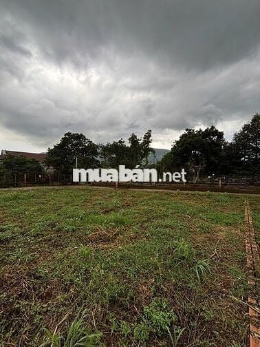 Bán GẤP 280m2 Đất THỔ CƯ VIEW NÚI CHỨA CHAN Xuân Lộc Tỉnh Đồng Nai
