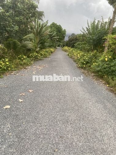 Cần bán hoặc cho thuê mặt tiền sông ngay khu du lịch sinh thái