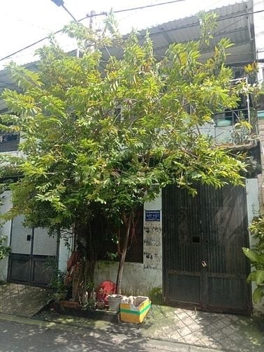 Bán căn nhà 8x17m, đường Huỳnh Văn Nghệ, P.12, Gò Vấp
