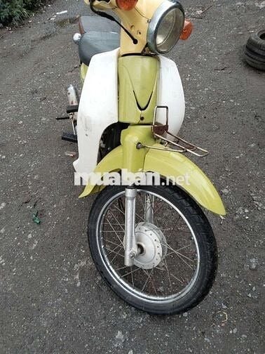 Cup 50cc