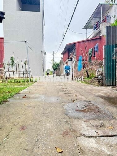Bán đất thôn Đoài Nam Hồng Đông Anh