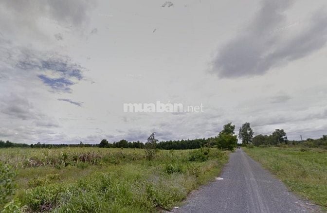 Bán đất mặt tiền Kênh 7, Bình Lợi - Bình Chánh
