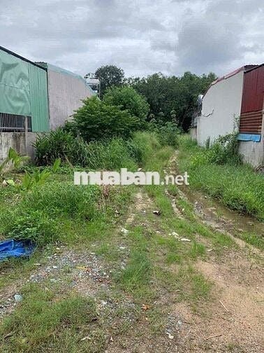 Chính chủ kẹt tiền bán nhanh lô đất thổ cư sát ql13 chỉ 350 triệu