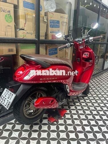 xe gia đình 1 đời chủ từ đầu 2024