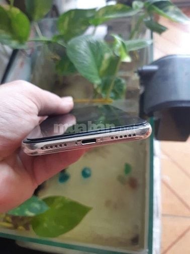Bán iphone X256G màu trắng quốc tế zin 