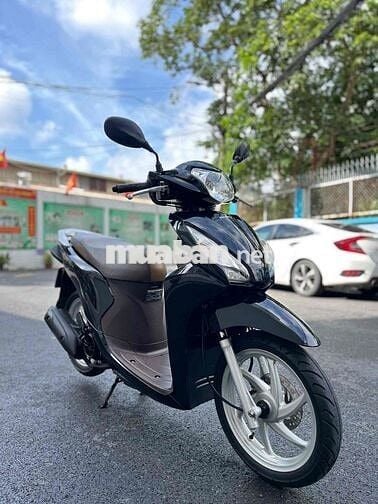 vision đen 2019