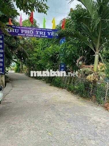 Bán gấp .Đất ngay  kế chợ Cần Giuộc . Mặt tiền đường 7m
