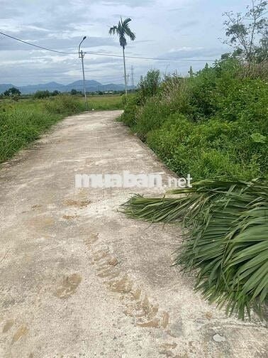 Cần bán lô đất view đồng tại Yến Nê Hòa Tiến