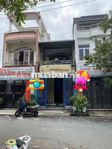 cho thuê nhà hẻm xe hơi đường tân hoà đông