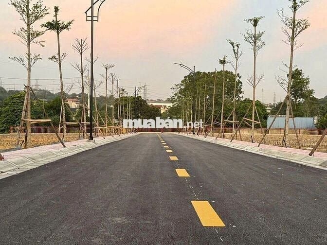 Đất đẹp chính chủ dễ thanh khoản, không lo ngập