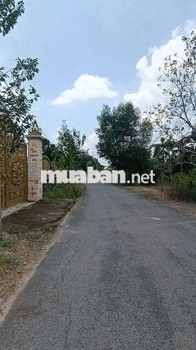 AN VIỄN TRẢNG BOM, MẶT TIỀN NHỰA , KHU DÂN CƯ, ĐƯỜNG THÔNG